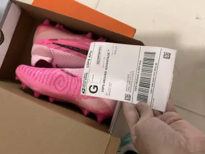 order_693150a96c74d5.77679517